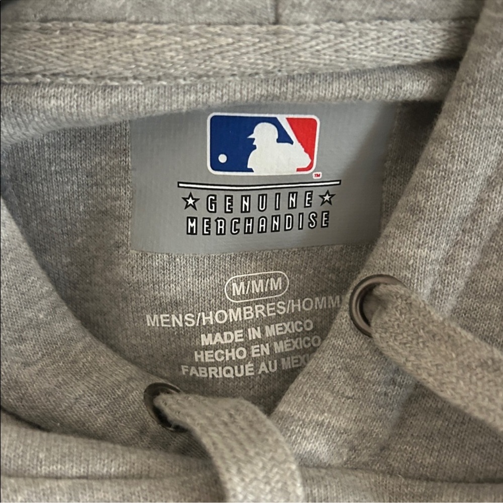 American League Champion Hoodie Houston Astros - Picture 4 of 7